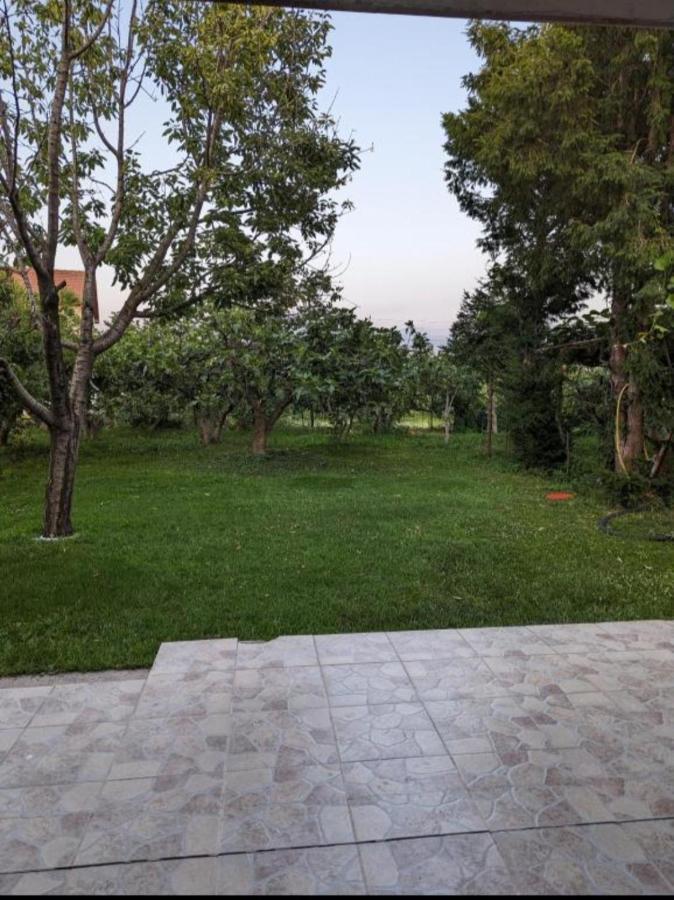 Apartment Filipovic Podgorica Exterior photo